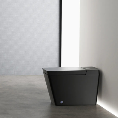 Изделия современного лидирующего автоматического Bathroom санитарные справляются умные умные туалеты